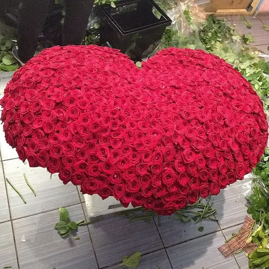 1001 роза сердце