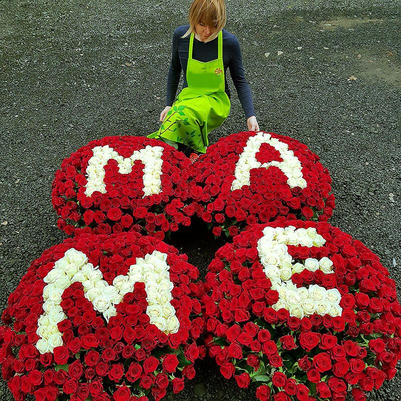 1001 роза МАМА