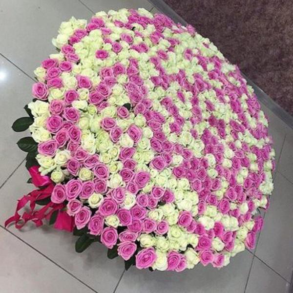 1001 розовые и белые розы
