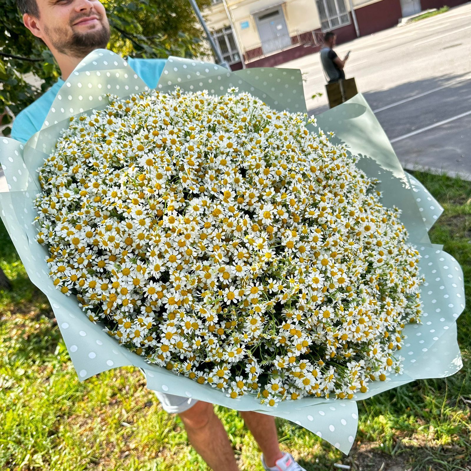 201 Ромашка