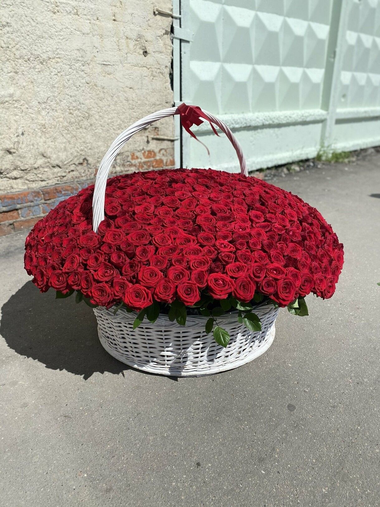 501 роза классика