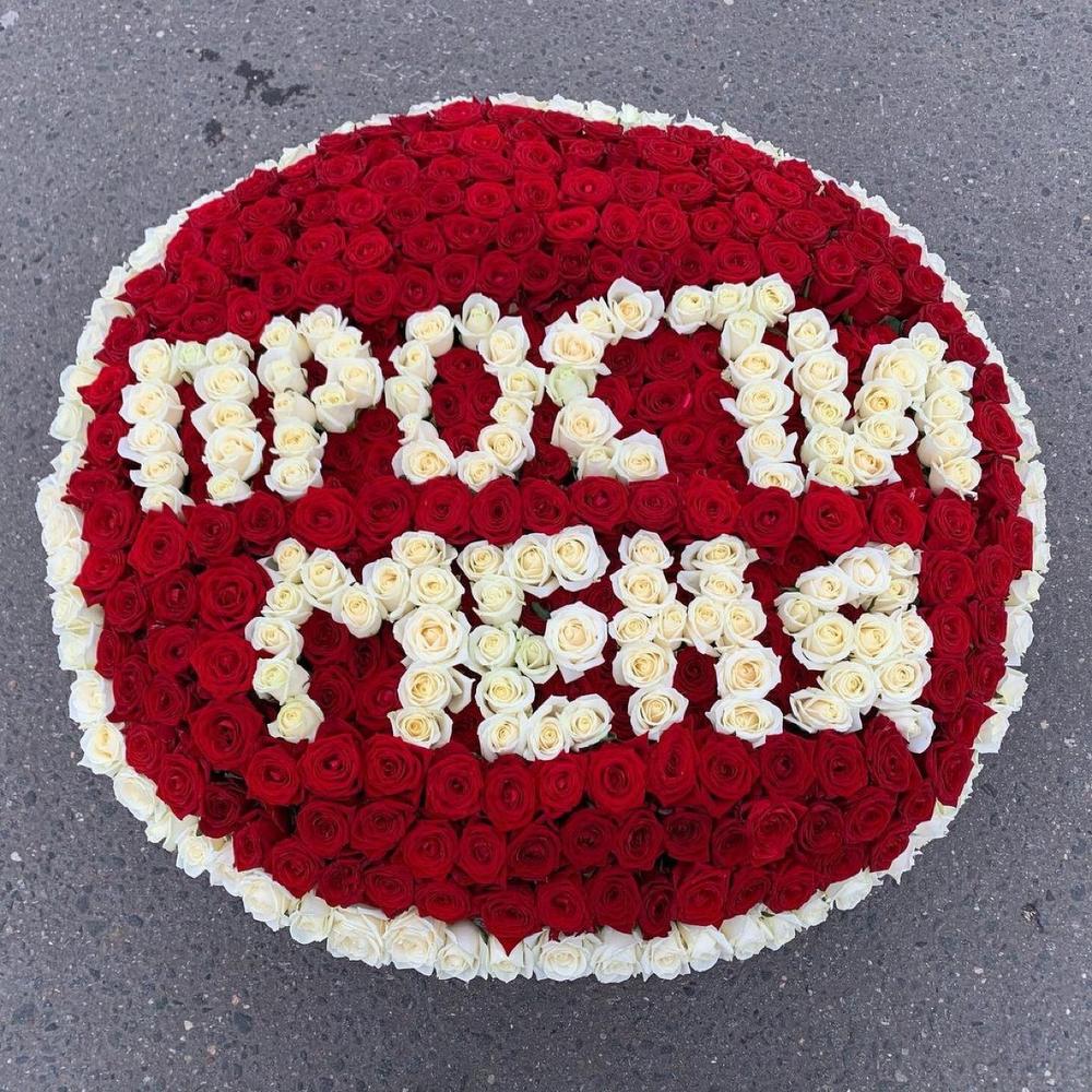 501 роза Прости