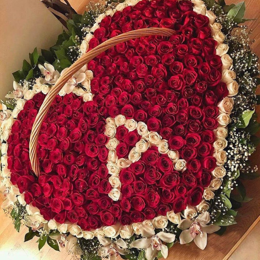 501 роза сердце