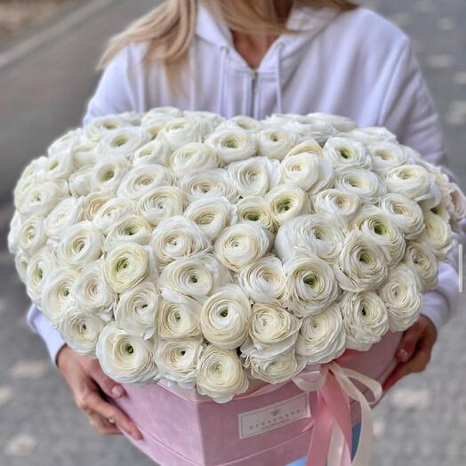 Белые Ранункулюсы в коробке