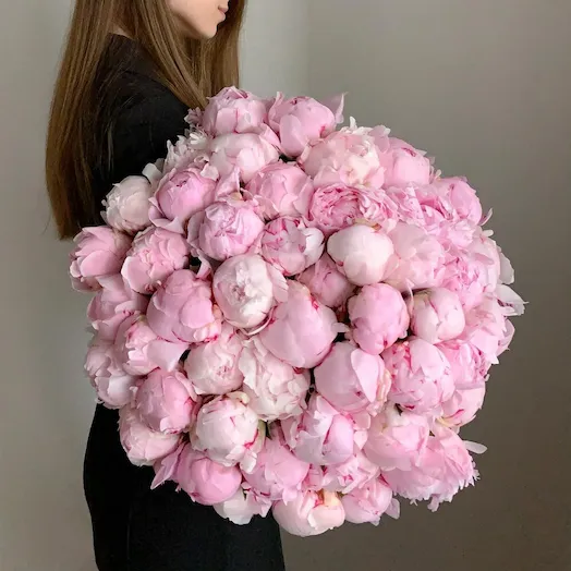 Букет из 51 розового пиона
