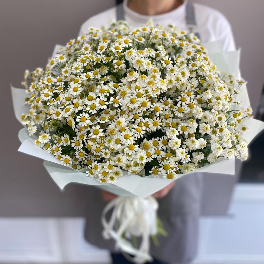 Букет кустовые ромашки 25 шт