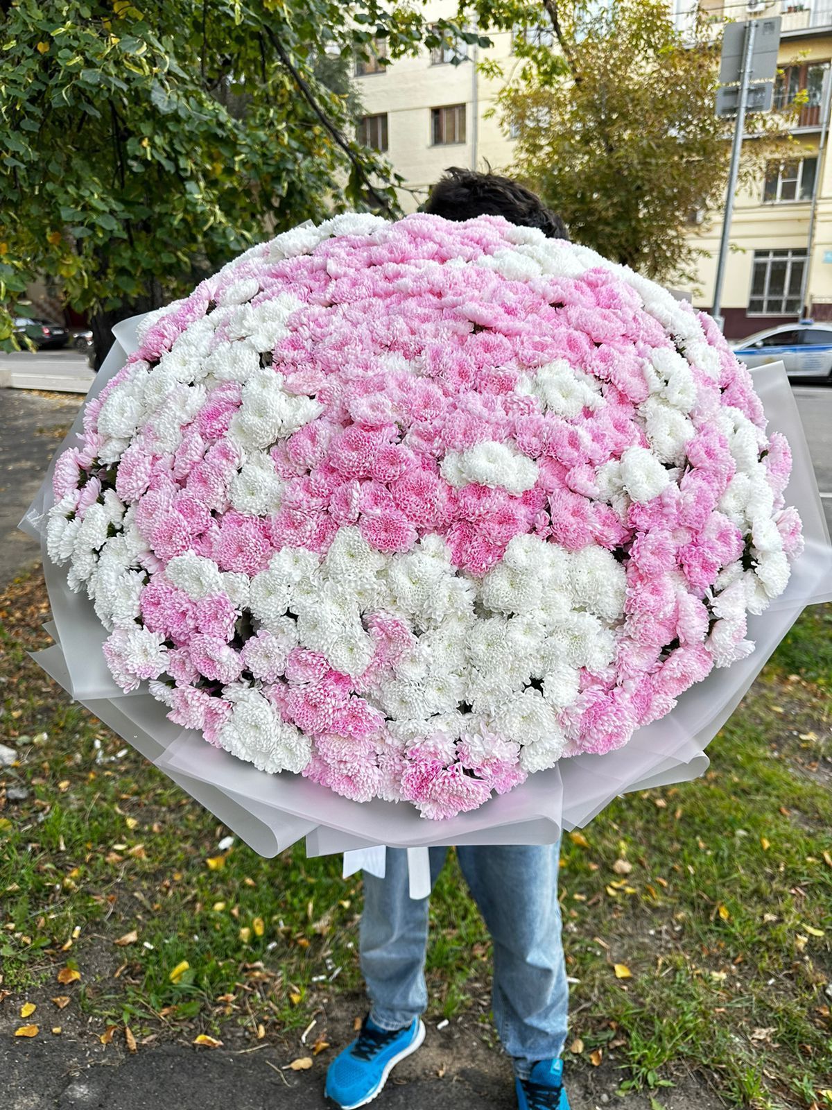 Гигантский букет Хризантема Сантини