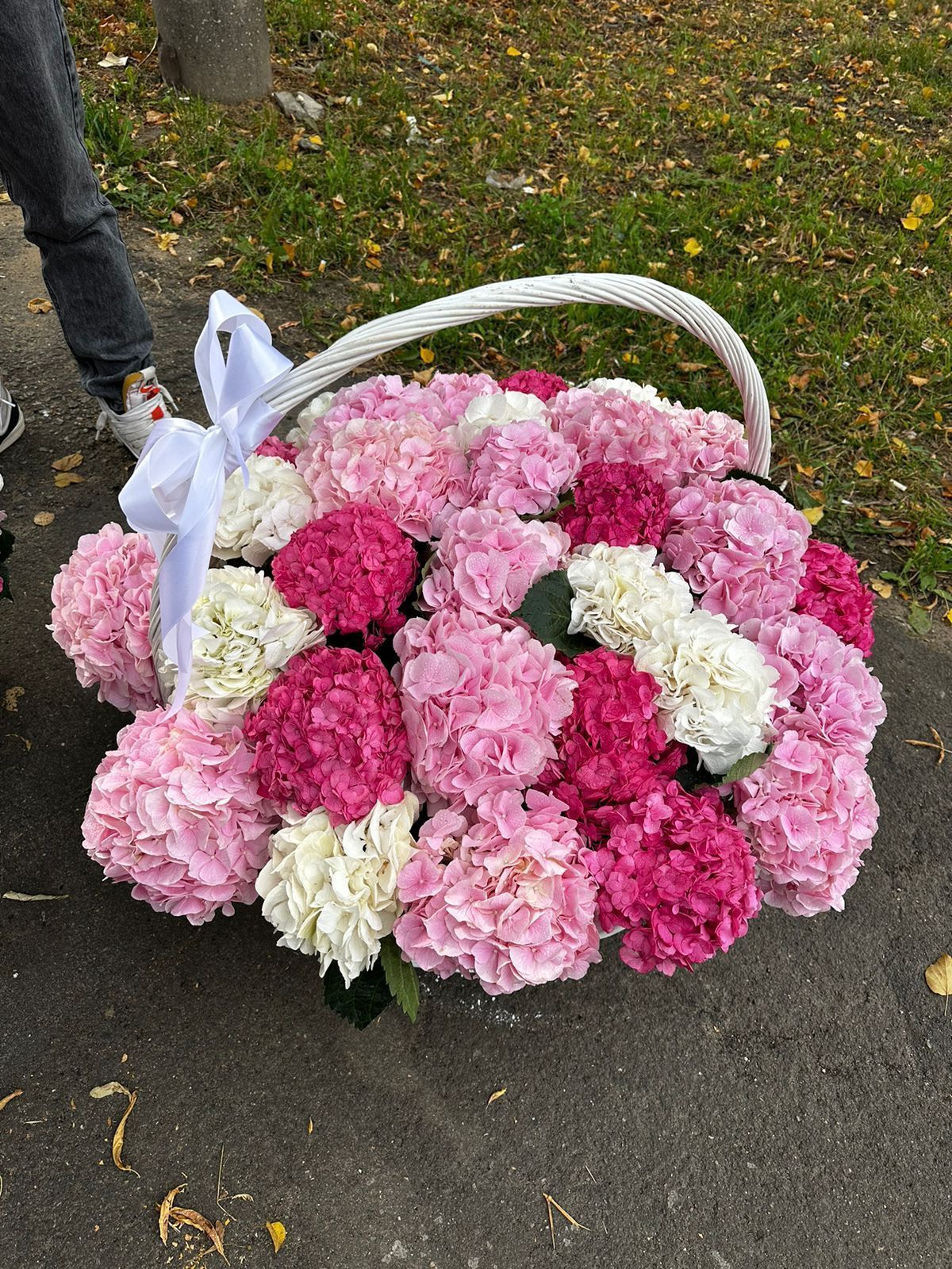 Гортензии Микс в корзине