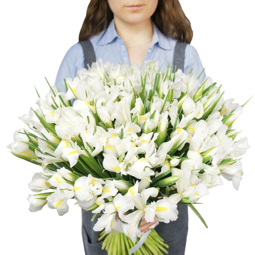 Ирисы белые 101 шт