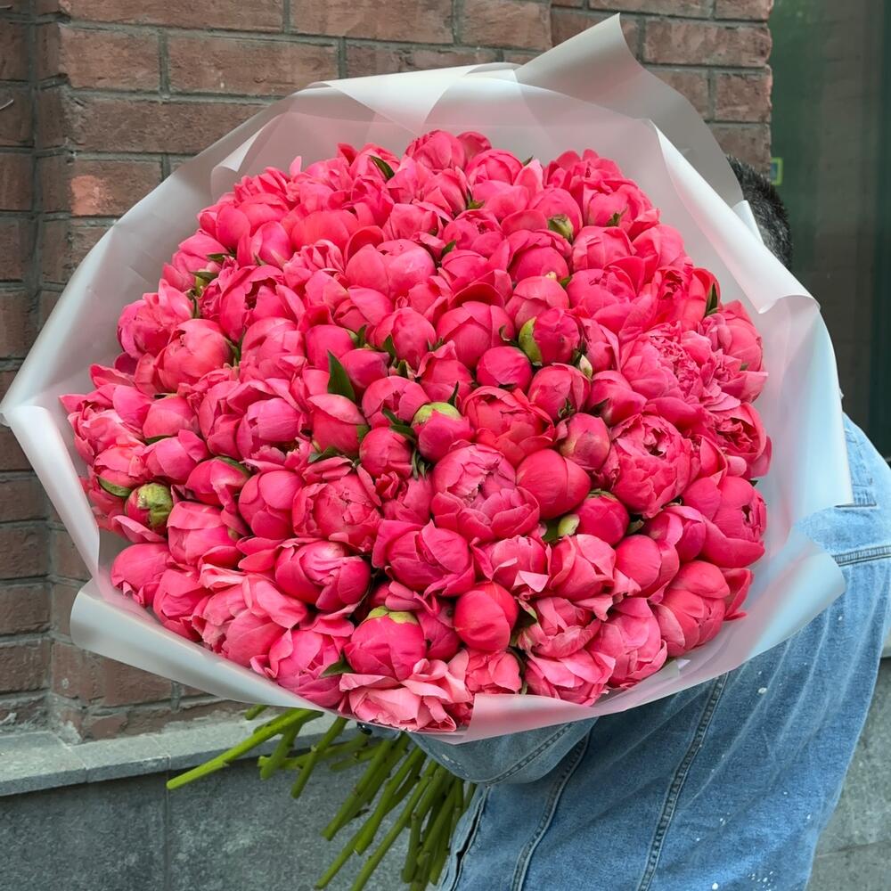 Коралловые пионы 101 шт