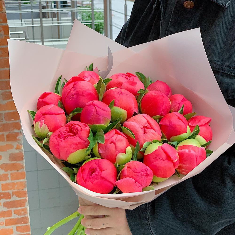 Коралловые пионы 19 шт