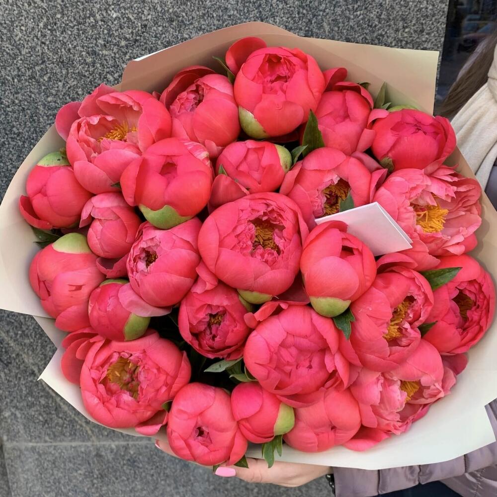 Коралловые пионы 35 шт