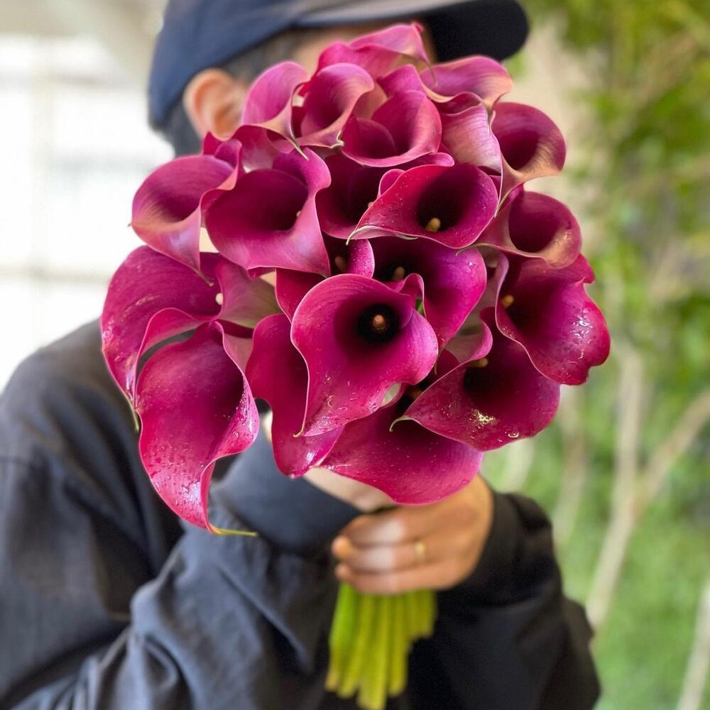 Красные каллы 19 шт