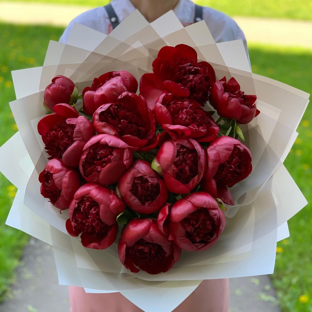 Красные пионы 15 шт