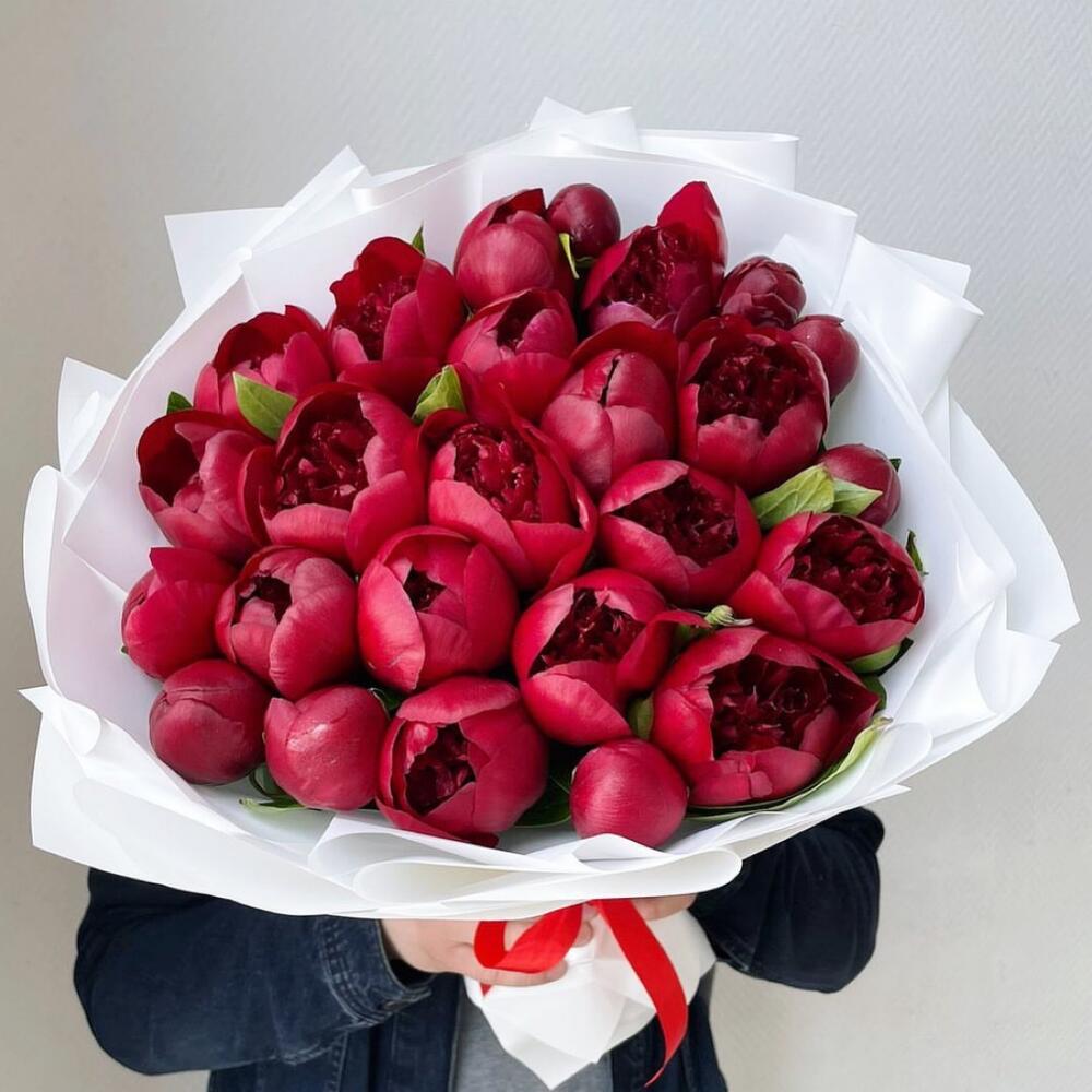 Красные пионы 25 шт