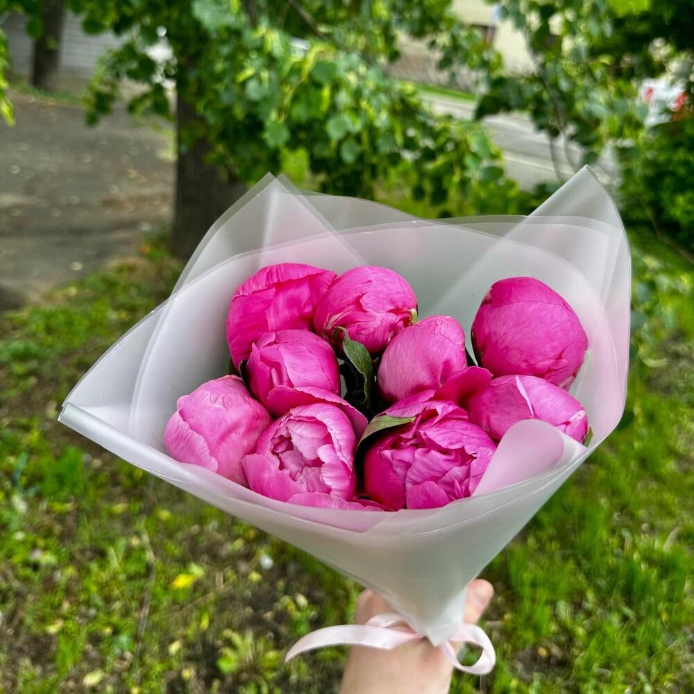 Малиновые пионы 9 шт