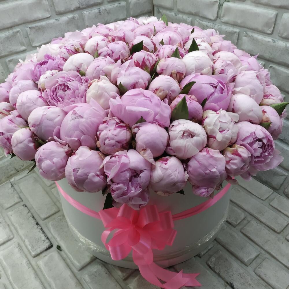Розовые пионы 101 шт в шляпной коробке