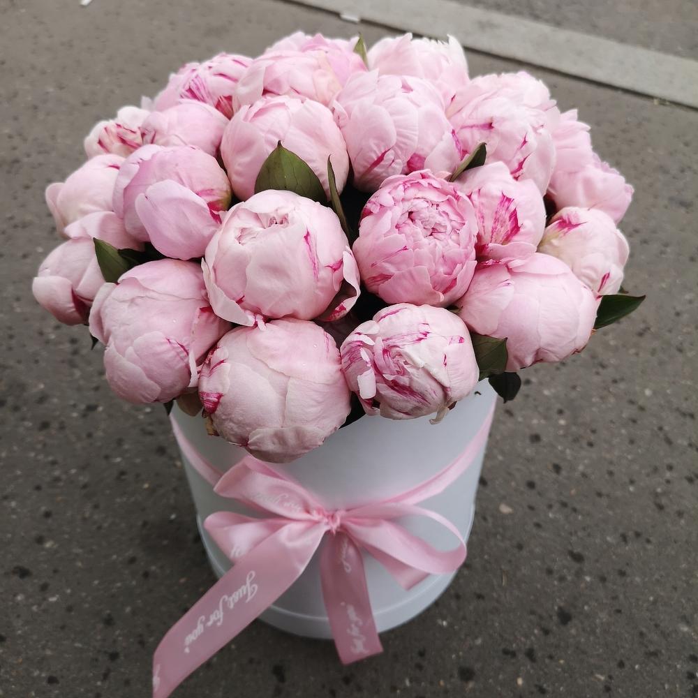 Розовые пионы 25 шт в шляпной коробке