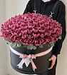 101 Бордовая Орхидея в коробке