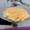 101 Кремовая Роза