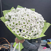 Белые хризантемы 25 шт