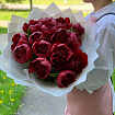 Бордовые (красные) пионы пионы 15 шт