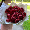 Бордовые (красные) пионы пионы 15 шт