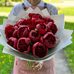 Бордовые (красные) пионы пионы 15 шт