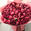 Бордовые пионы 51 шт
