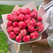 Коралловые пионы 25 шт
