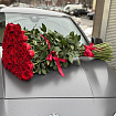 Метровые Розы 100 см - 51 шт