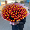 Оранжевые Тюльпаны 101 шт