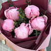 Розовые пионы 5 шт