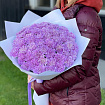 Розовые гвоздики 37 шт