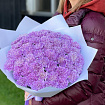 Розовые гвоздики 37 шт