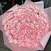 Розовые гвоздики 75 шт