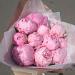 Розовые пионы 11 шт