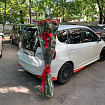 Высокие Розы 150 см - 51 шт
