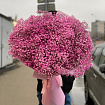Яркая розовая гипсофила 25 шт
