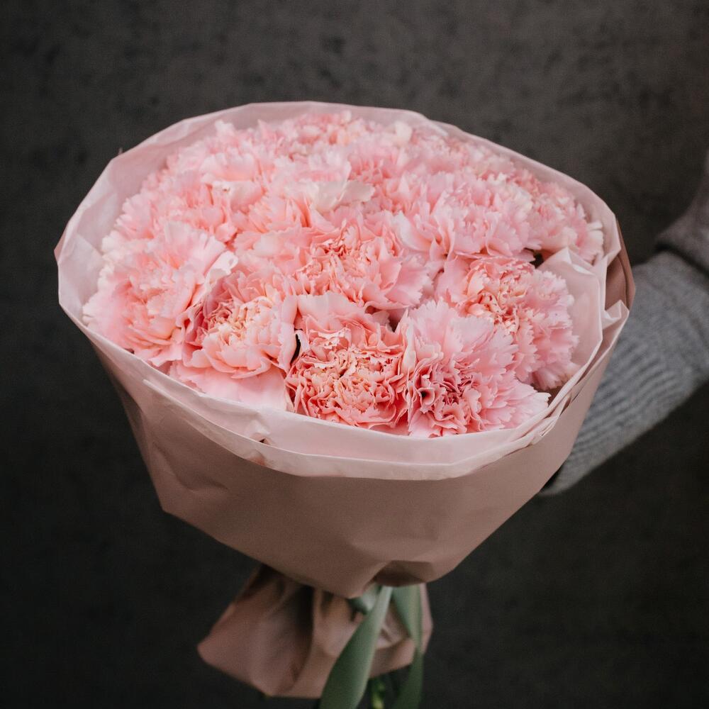 Розовые гвоздики 15 шт