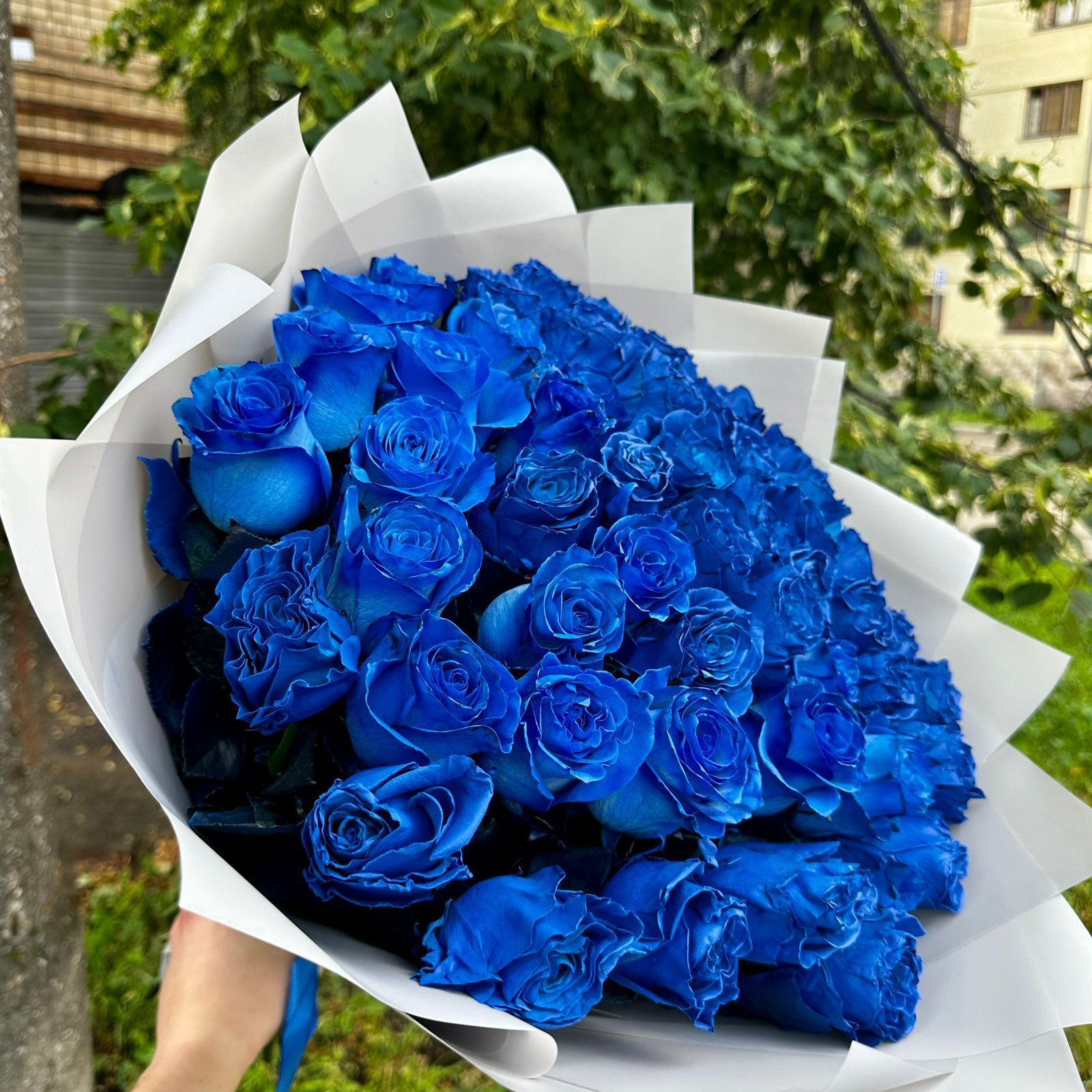 Синие Розы 35 шт