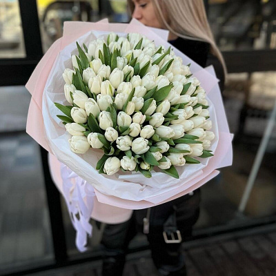 Белые тюльпаны 101 шт