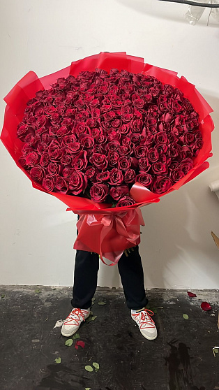 Метровые Розы 110 см - 201 шт