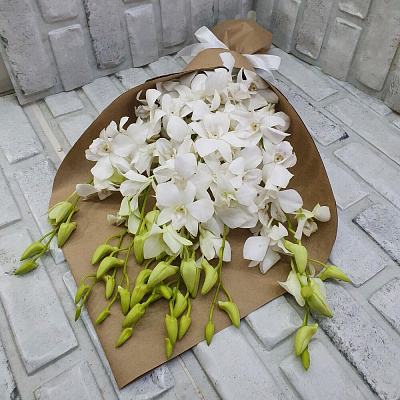 Белая Орхидея в букете