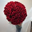 Метровые Розы 110 см - 101 шт