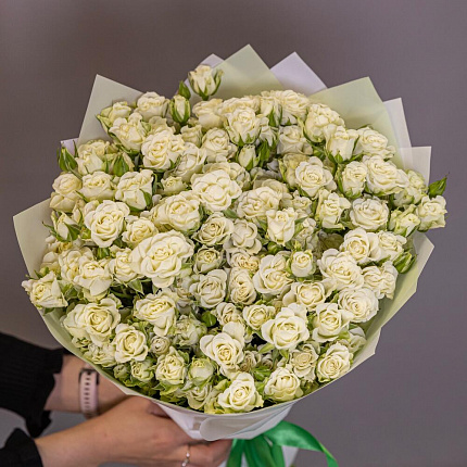 Белые Кустовые розы 19 шт
