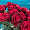 Метровые Розы 100 см - 15 шт