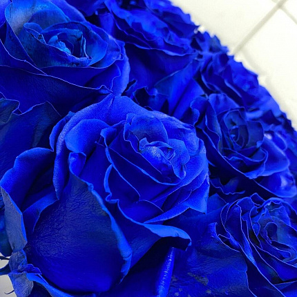 Синие Розы 15 шт в коробке