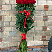 Высокие Розы 140 см - 25 шт
