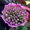 Фиолетовые Пионовидные Тюльпаны 51 шт